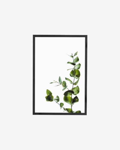 product image framed plant artwork 2